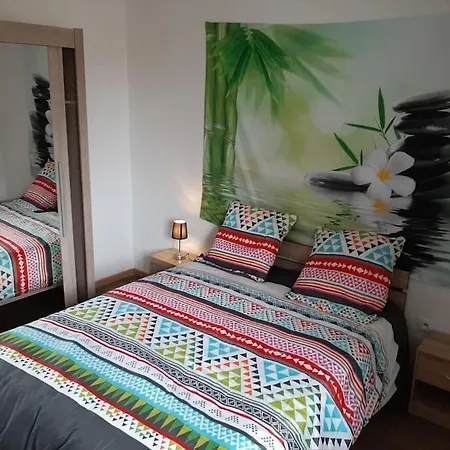 Apartment T3 Hyper-centre Au Calme Tout Equipe Parking Prive Castres (Tarn)