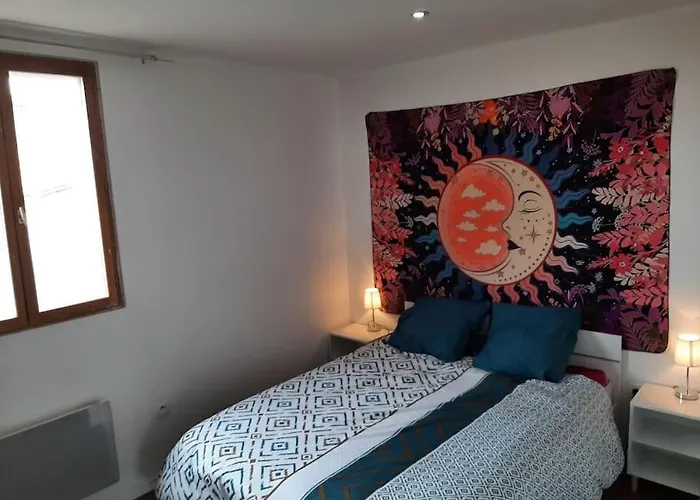 T3 Hyper-centre Au Calme Tout Equipe Parking Prive Castres